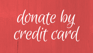 donate by credit card